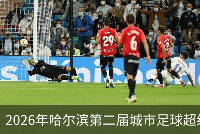 2026年哈尔滨第二届城市足球超级杯赛开赛